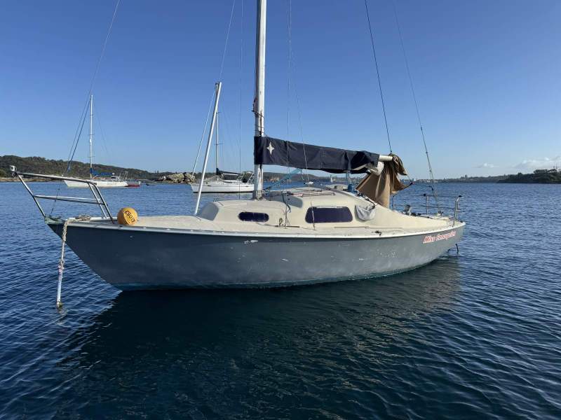 Endeavour 26