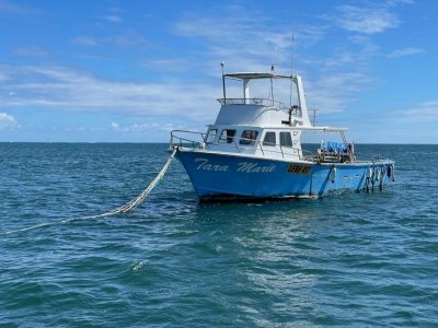 West Coast Demersal Gillnet and Longline Package