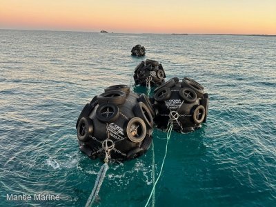 Yokohama Fenders for Sale or Rent