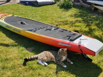 Jimmy Lewis Sidewinder